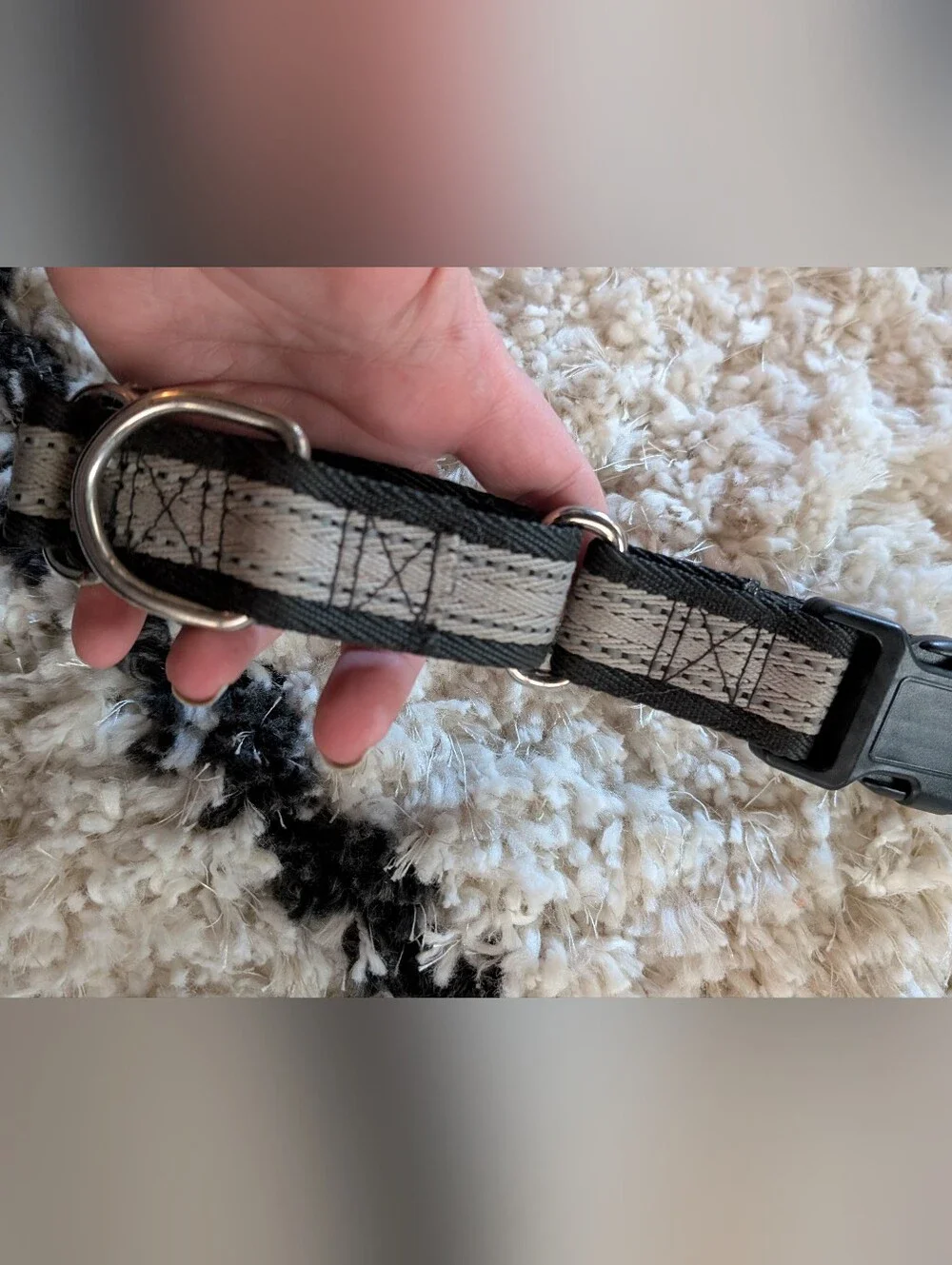 Gray And Black Dog Collar